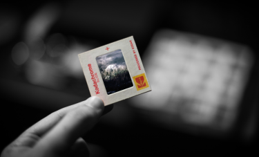Bild zum Beitrag: Embedding images in emails